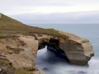 A short sharp climb reveals one of Dunedin's treasures.